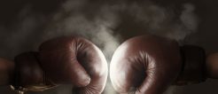 boxkampf wetten
