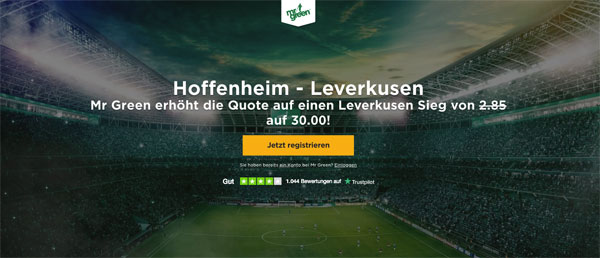 Verbesserte Quote Leverkusen besiegt Hoffenheim Mr Green
