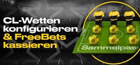 Bwin Champions League Sammelpass