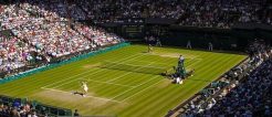 wimbledon viertelfinale tatjana maria jule niemeier quoten